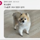 Weekly Diary - [3월 3번째]
