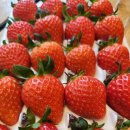 우리푸드시스템 이미지