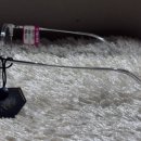 시티안경 이미지