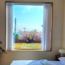 스테이도란 | 울산 독채 펜션 스테이도란 / 감성 뿜뿜 오션뷰 숙소 내돈내산 후기