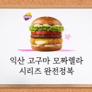 해남한국병원 | 맥도날드 익산 고구마 모짜렐라 – 버거 &amp; 머핀 찐 후기, 완벽 분석!