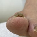 레푸스 평택소사벌점 이미지