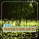 청수 곶자왈 | 제주 6월 초여름 밤 만나는 여행 한경면 청수 곶자왈 반딧불이 축제 기본정보 (6/8-7/7)