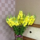 김재연한의원 이미지