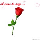 RoseDay 이미지