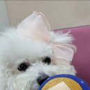 자작나무공방 이미지
