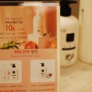 벚꽃로-1 이미지