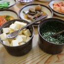 모슬포한라전복