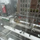 삿포로에 갈까요 ❄️ #2