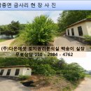 다온토지보상 Daum카페