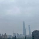 디디인터내셔널 이미지