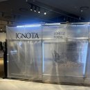 이그노타 IGNOTA CORE:12 잠실 롯데월드몰 팝업 후기