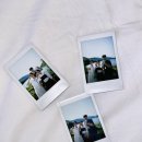 완도네시아 이미지