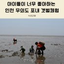 아이들과 인천 무의도 하나개해수욕장 포내갯벌체험장 후기!