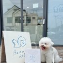 버터롤드 | [서귀포시 월평동] 제주도 수제 버터롤과자점 '버터롤드' 제주 기념품