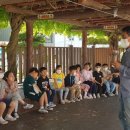 충남 서천초등학교 충남일보