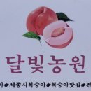 달빛농원 이미지