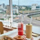 제주도 애월 곽지해수욕장 오션뷰 카페 바다가 한눈에 보이는 타임센트 아기랑 강아지랑 다녀온 솔직 후기