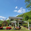 남연허브 이미지