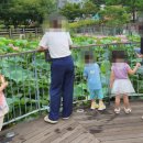 우리는 가족자연탐험대 이미지