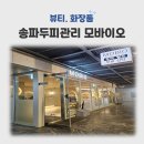 그린파크 | 송파두피관리 전문샵 추천/모바이오 송파점 솔직 방문후기