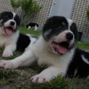 미들농장 이미지