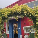 카페인카 이미지