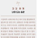나이스카 - 세종특별자치시 갈매로 351 | 나이스카