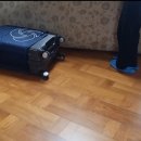 광천세탁 이미지