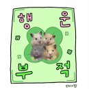 동네정육