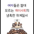 여자들은 절대 모르는 게이사회의 냉혹한 위계질서 이미지