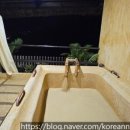 비치스파매점