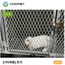 청조동물병원 이미지