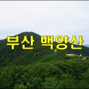 백양산임도(2) 이미지