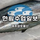 연승물산
