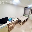 스테이더옴므