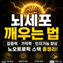 뇌세포 깨우는 법 집중력 후기 정리
