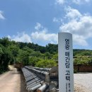함평한우해월다함 본점 | 국내 최대의 매간당고택 수국동산추천!! 담쟁이덩쿨로 둘러쌓인 나산중앙교회 &amp; 해월다함 육회비빔밥식당