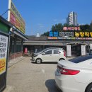 솔솔민박 서울 근교 가성비 단체 펜션 바비큐 미니 수영장