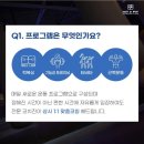 히트앤핏 목동 키즈 MMA 주짓수 | 히트앤핏 목동&amp;키즈MMA주짓수 기능성
