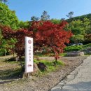 (주)영암상회 다이닝코드
