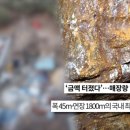 황금개발 이미지