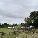 새영화목장 이미지