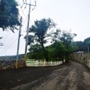 상산목장 이미지