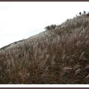 무룡분교 이미지