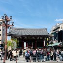오조산공원 인근 횡단보도(왼쪽) | [일본 도쿄 한 달 살기] #35. 아사쿠사 센소지. Asakusa. 나카미세도리 상점가. 카페. 킷사텐.