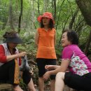 석계계곡 이미지