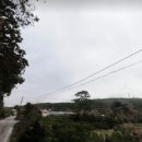 표선리-23 이미지