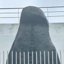 공설운동장 입구 3 | 통영공설운동장 박삼강선생송덕비