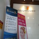 새성모약국 이미지